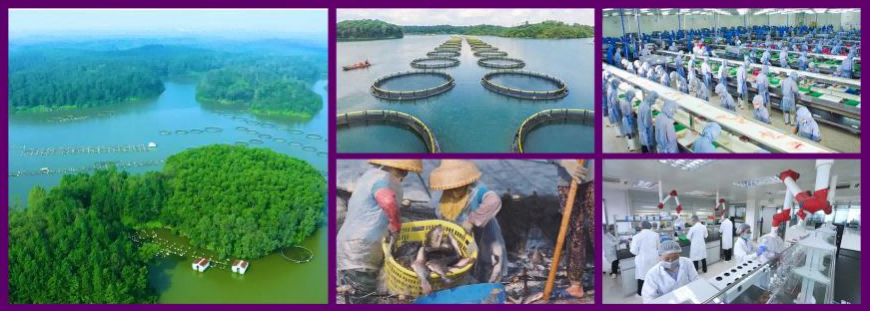 product origin place product origin place